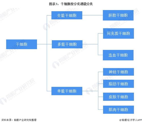 預(yù)見2022 中國干細(xì)胞醫(yī)療產(chǎn)業(yè)全景圖譜——產(chǎn)業(yè)鏈、競爭格局與前景展望