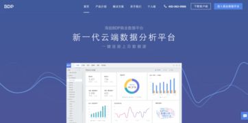 國內(nèi)優(yōu)秀BI產(chǎn)品與數(shù)據(jù)處理服務(wù)概覽